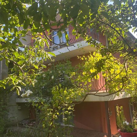 Ardelean Apartment أرادايا المظهر الخارجي الصورة