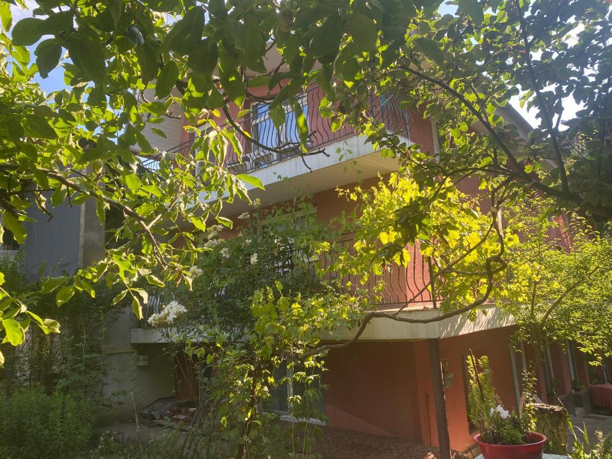 Ardelean Apartment أرادايا المظهر الخارجي الصورة