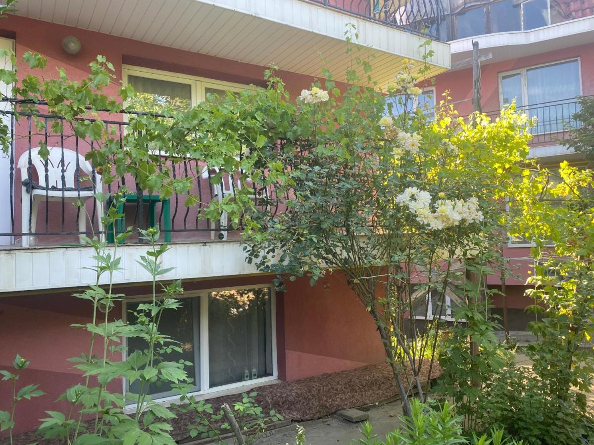 Ardelean Apartment أرادايا المظهر الخارجي الصورة