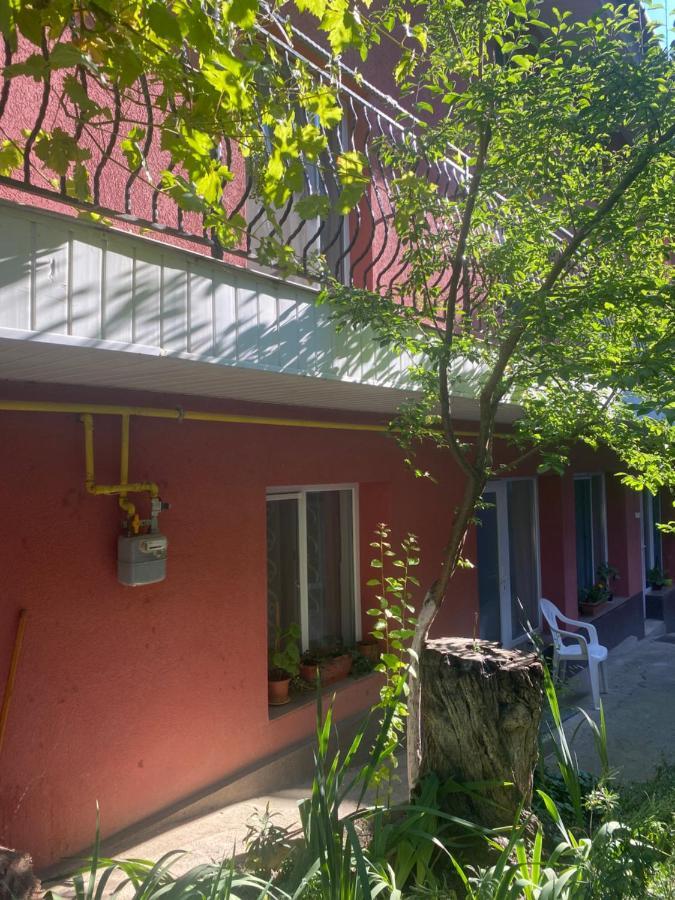 Ardelean Apartment أرادايا المظهر الخارجي الصورة