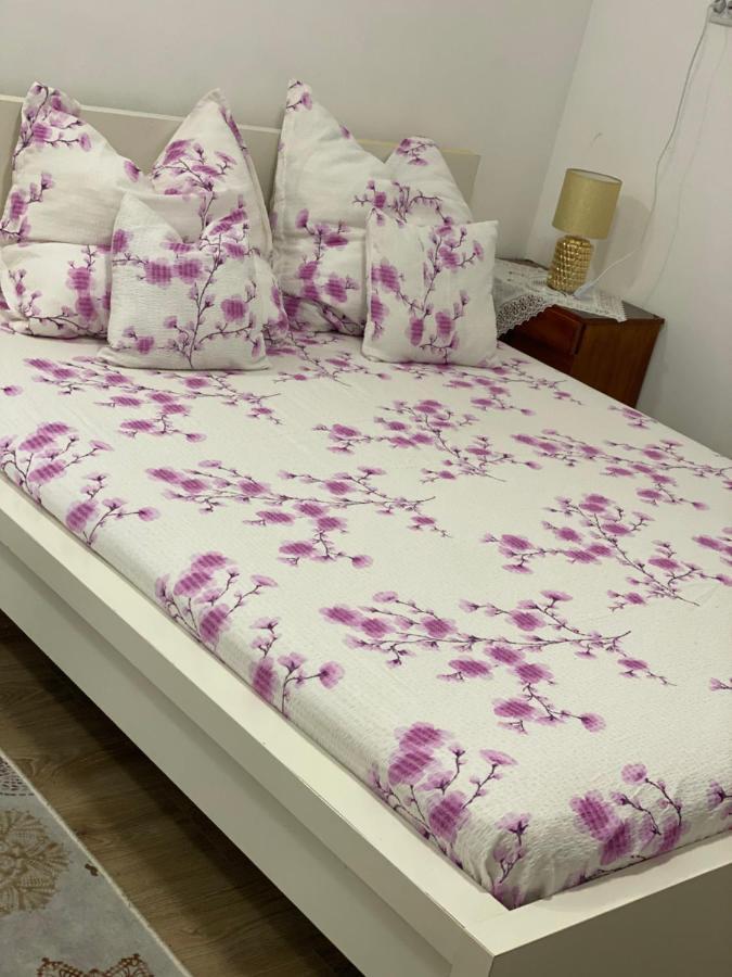 Ardelean Apartment أرادايا المظهر الخارجي الصورة